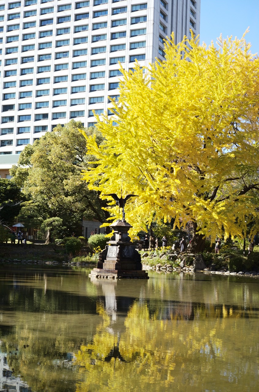 Hibiya Park Yellow leaves