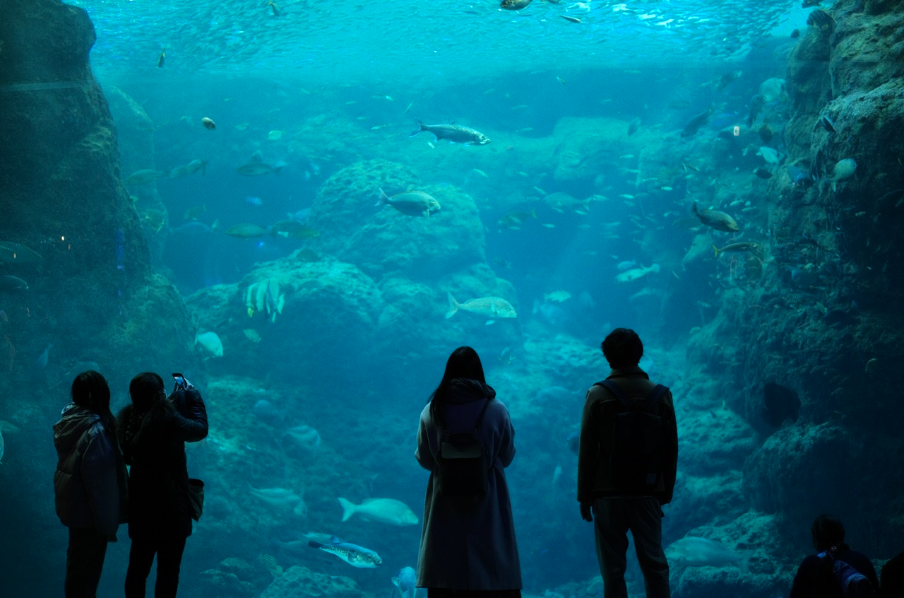 Enoshima Aquarium