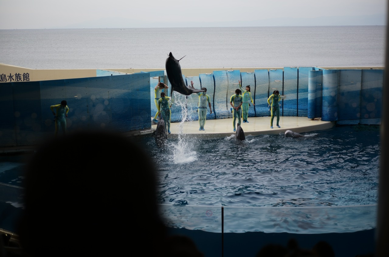 Enoshima Aquarium