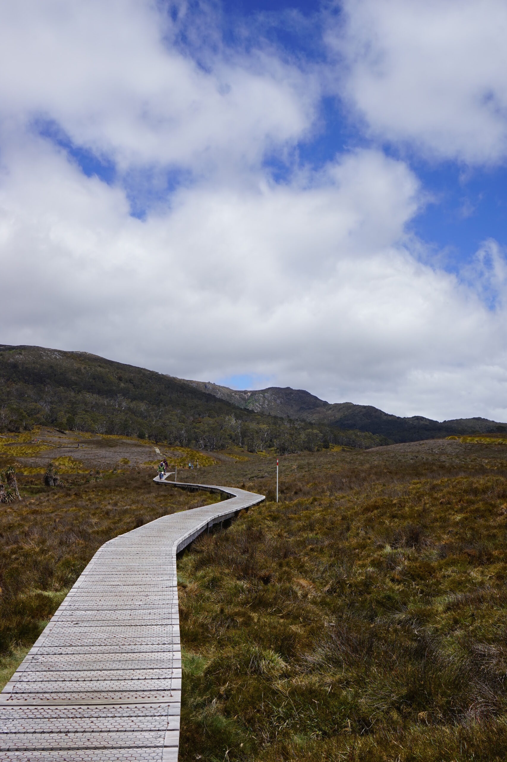Board Walk Cradle Mt Tasmania