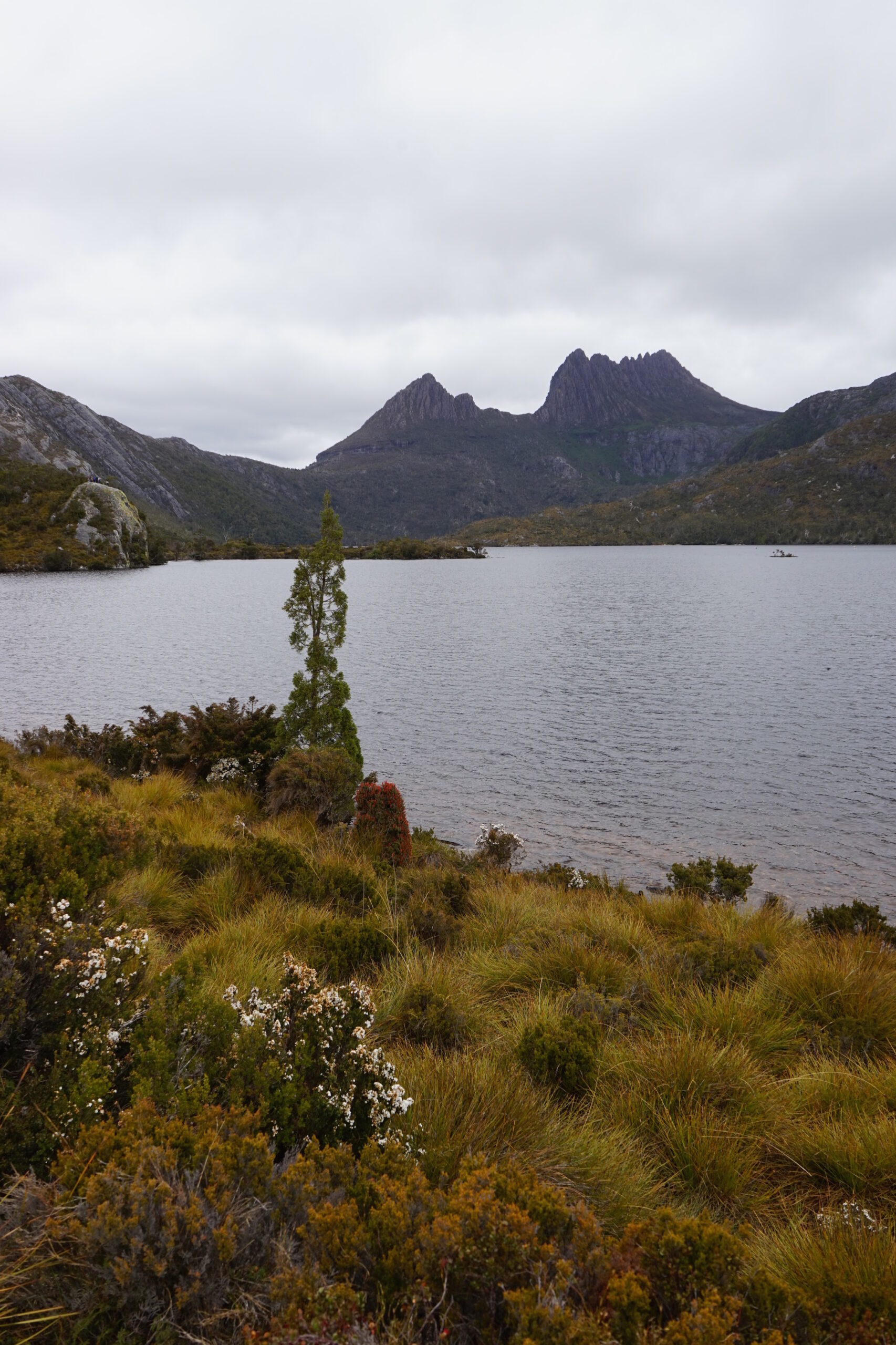 Cradle Mt Dove Lake Tasmania