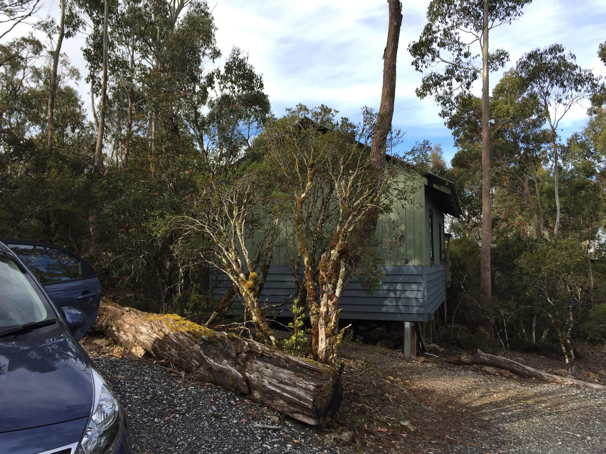 Cradle Mt Wilderness Village