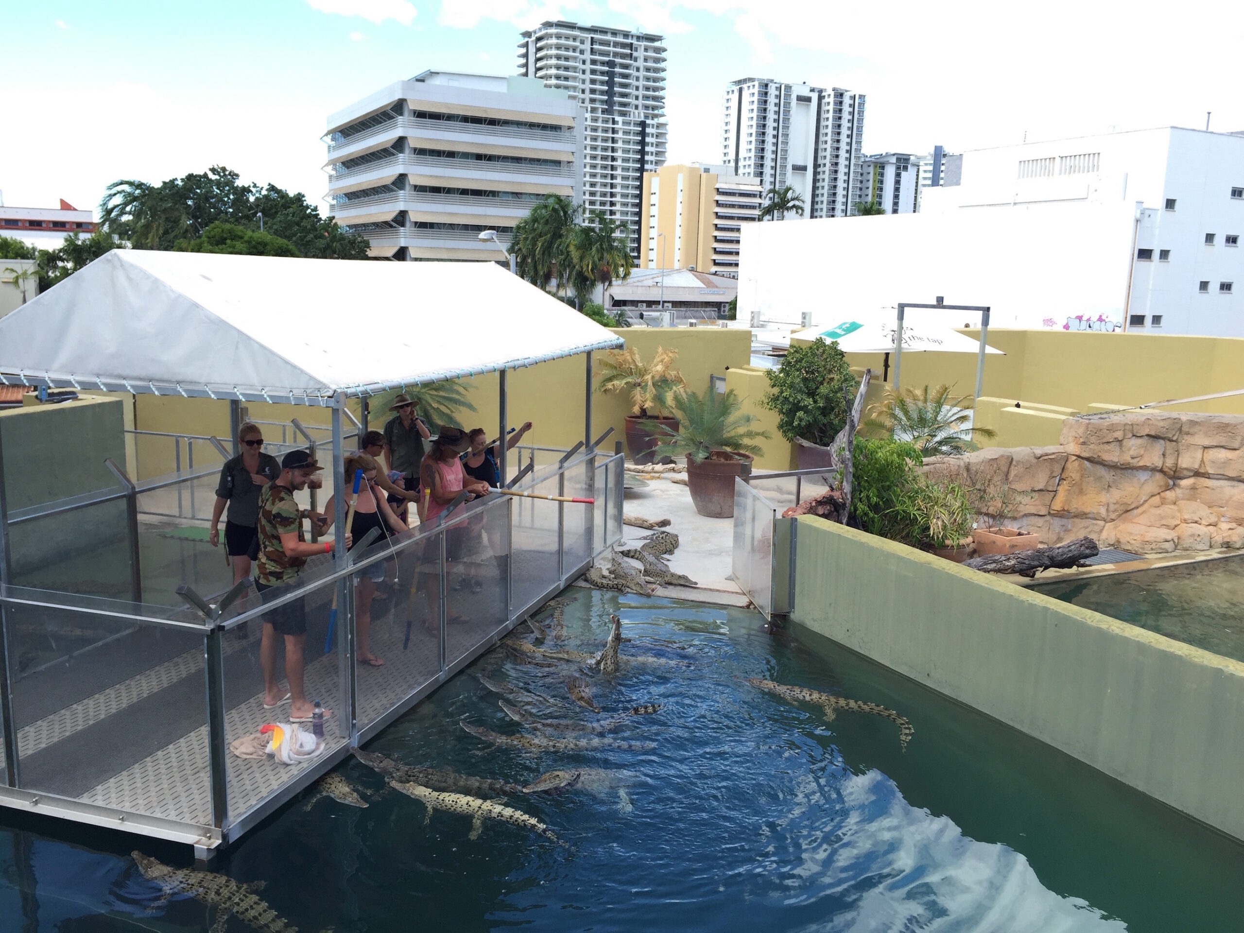 Croco Cove Darwin
