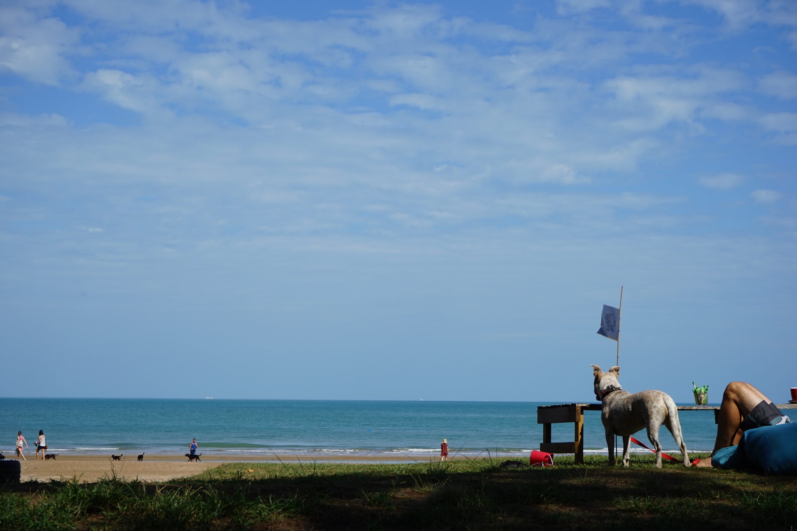 De La Plage Relaxed Time