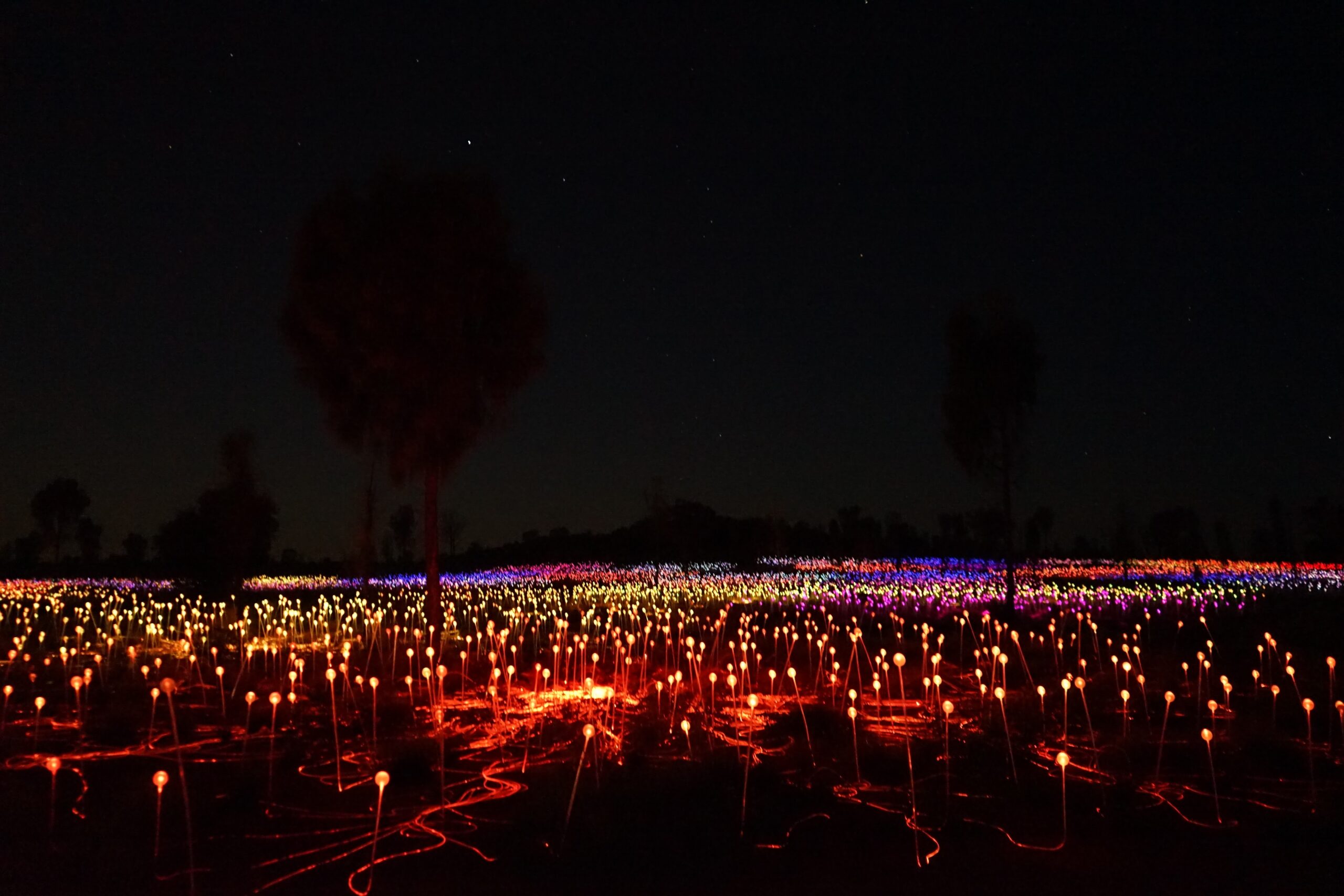 Field of Lights Uluru