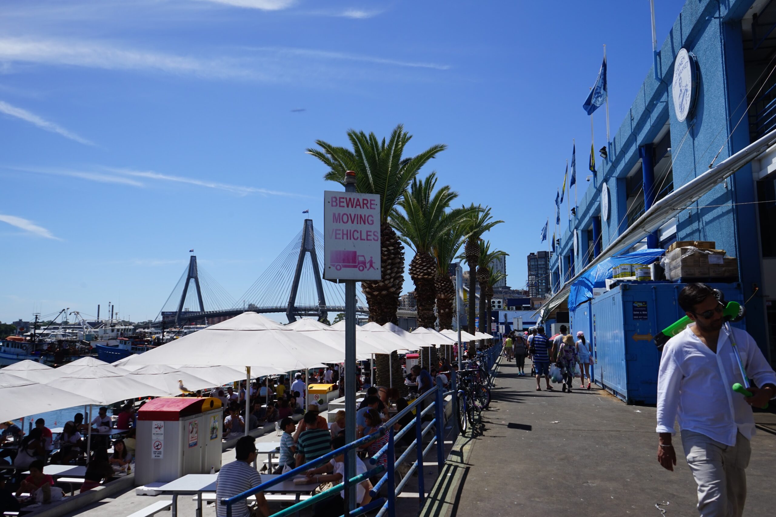 Sydney Australia Fish Market