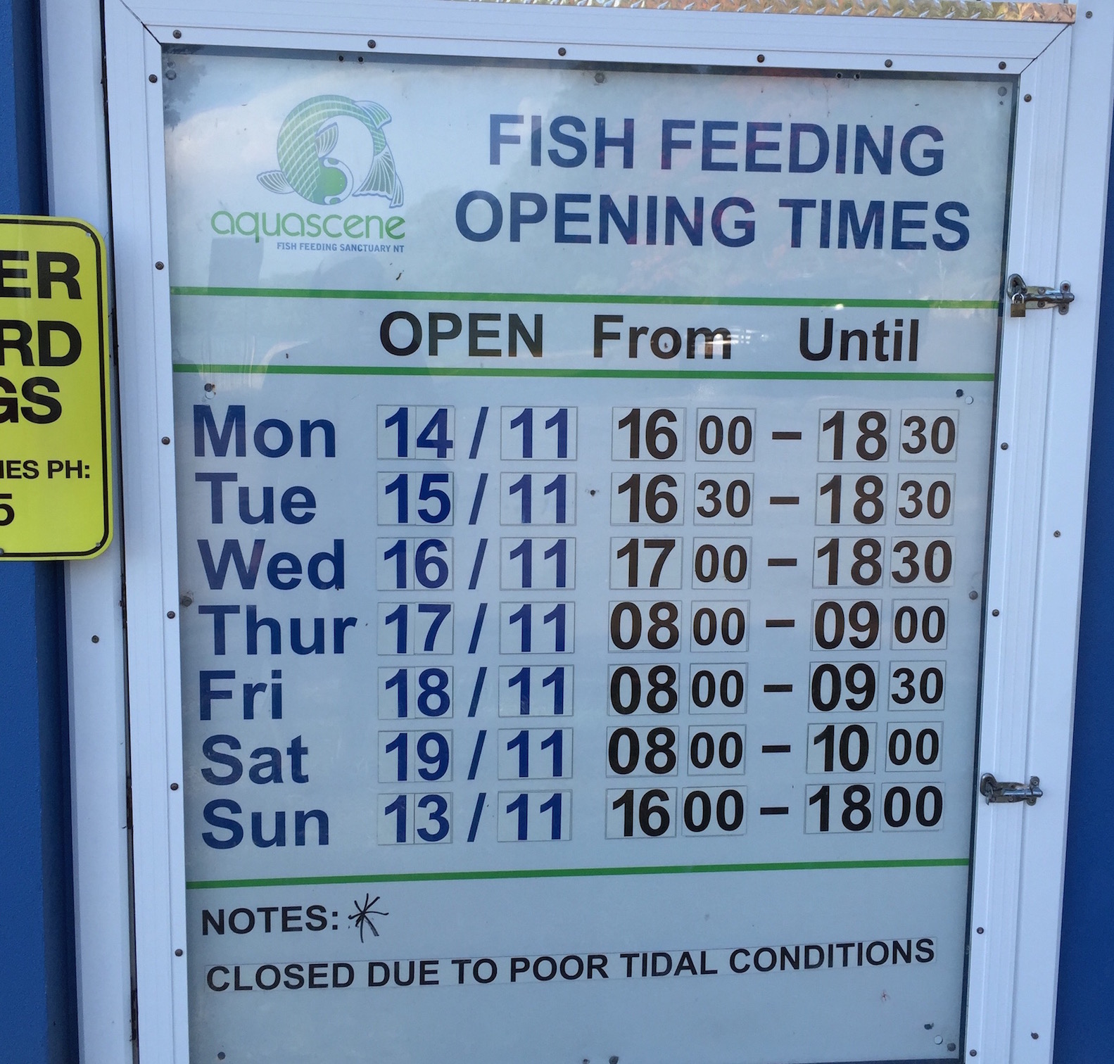 Aquascene, Fish Feeding Sanctuary Darwin NT Yohei.Photography