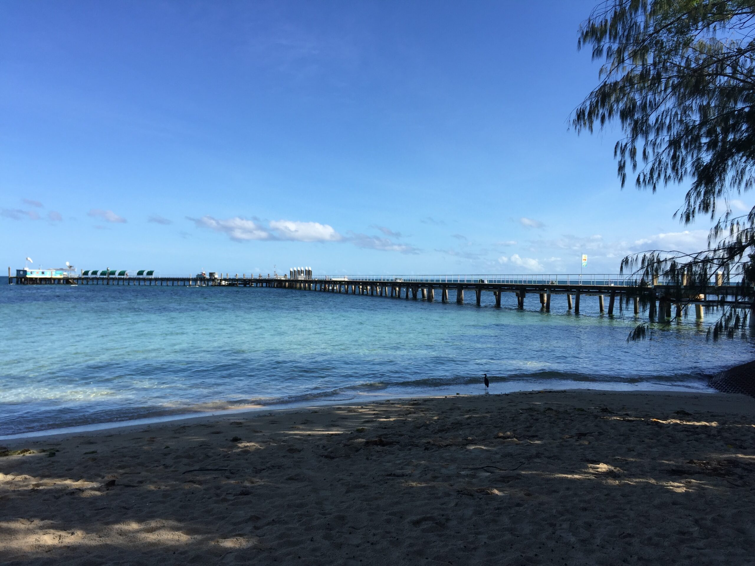 Green Island Morning Cairns Australia