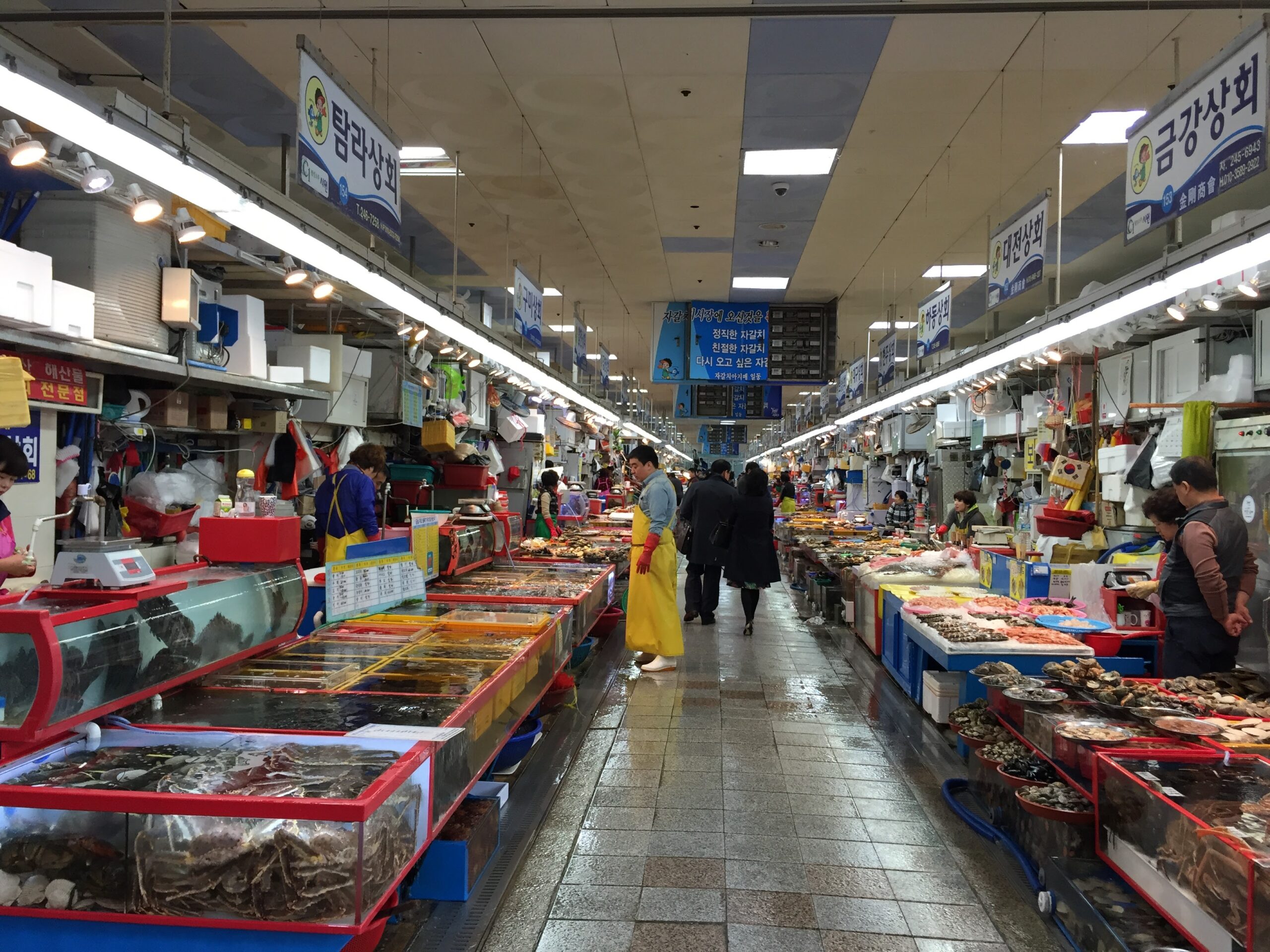 Jagaluchi-Market Busan Korea