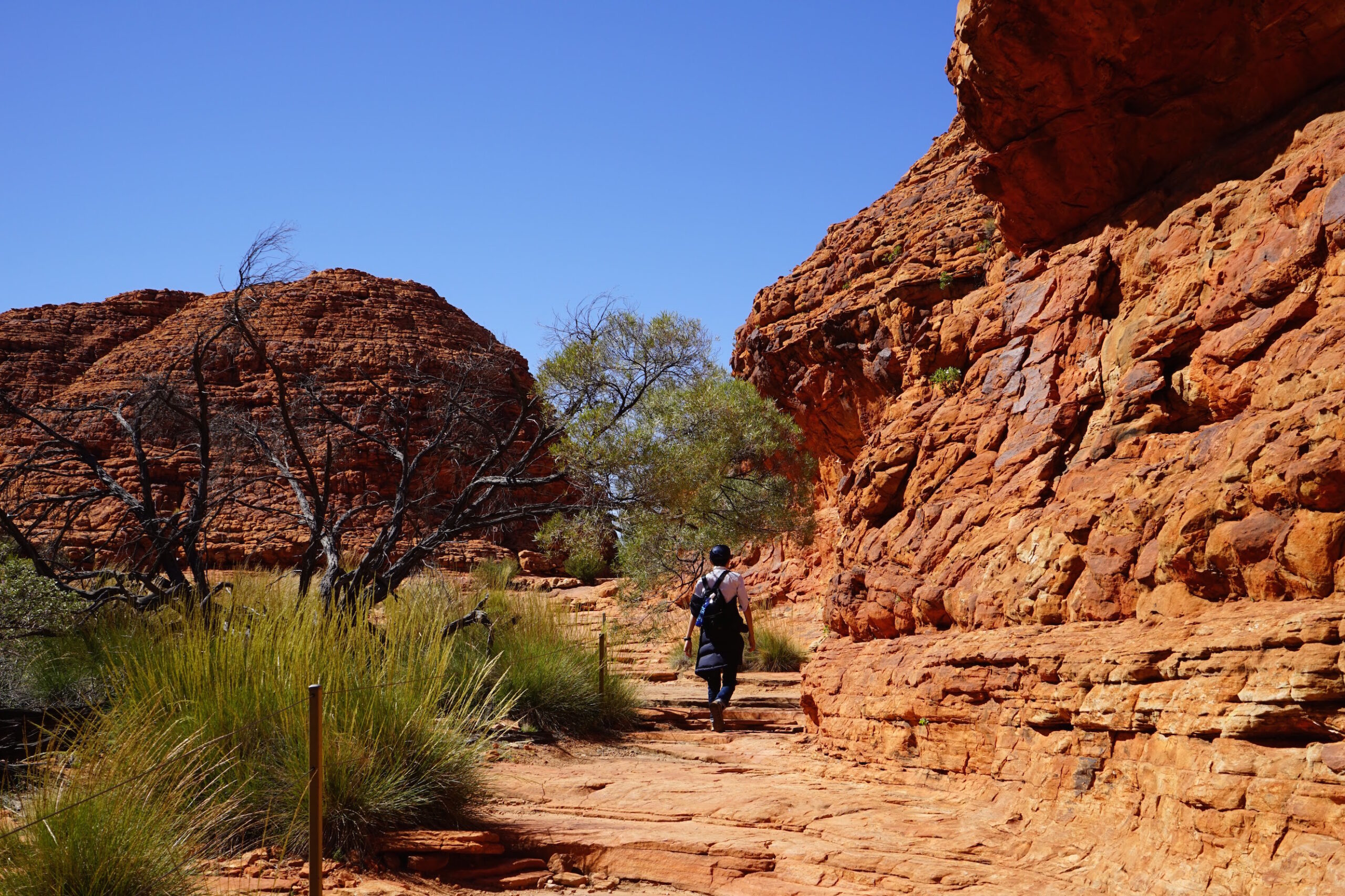 Four days travel, UluruKata Tjuta (3/4), Let’s visit Kings Canyon as