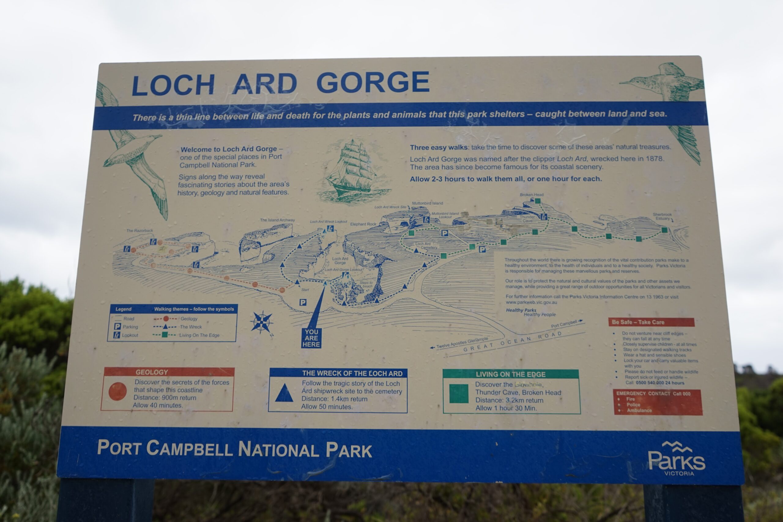 Loch Ard Gorge Board