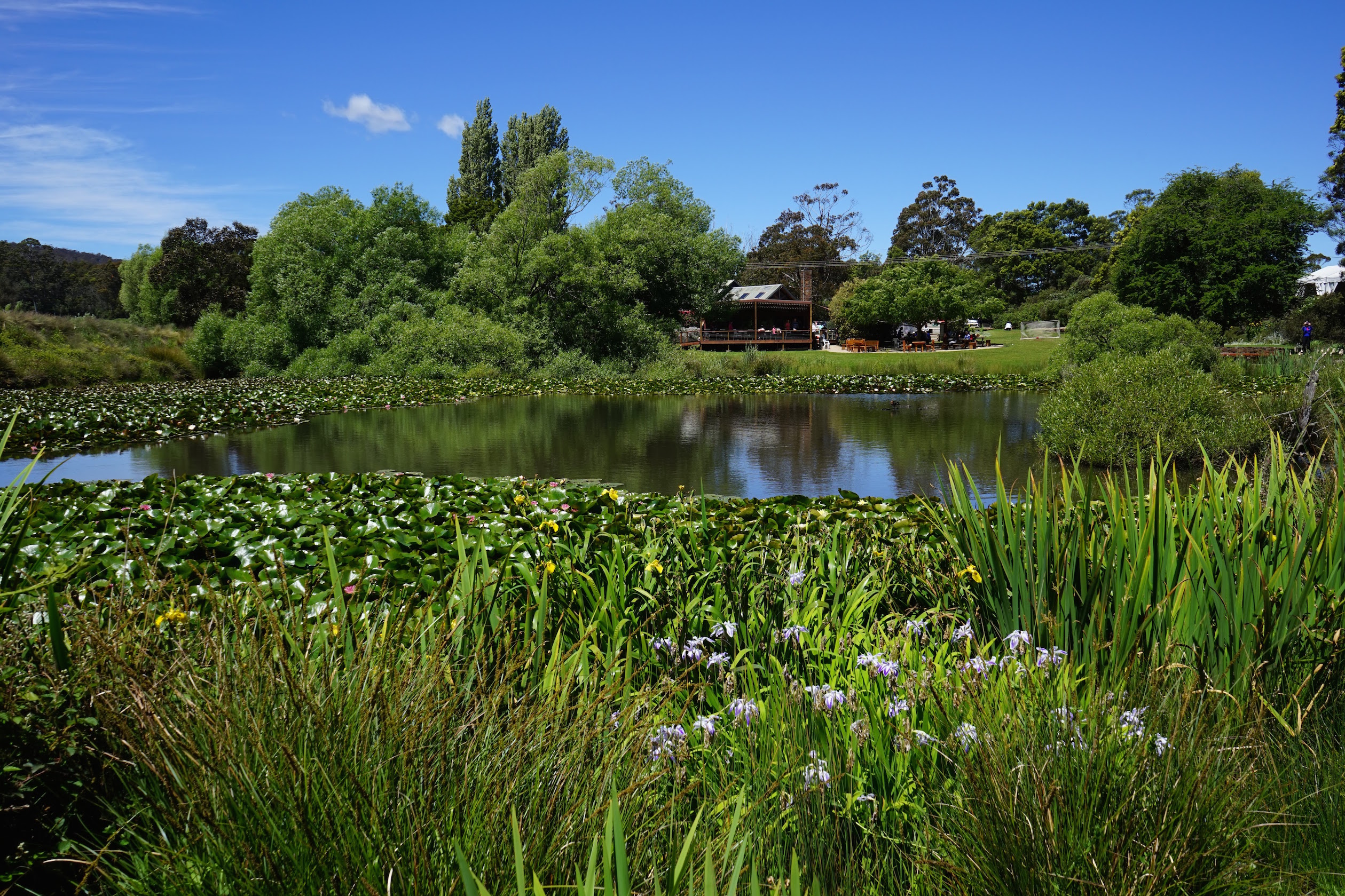 Raspberry Farm Tasmania