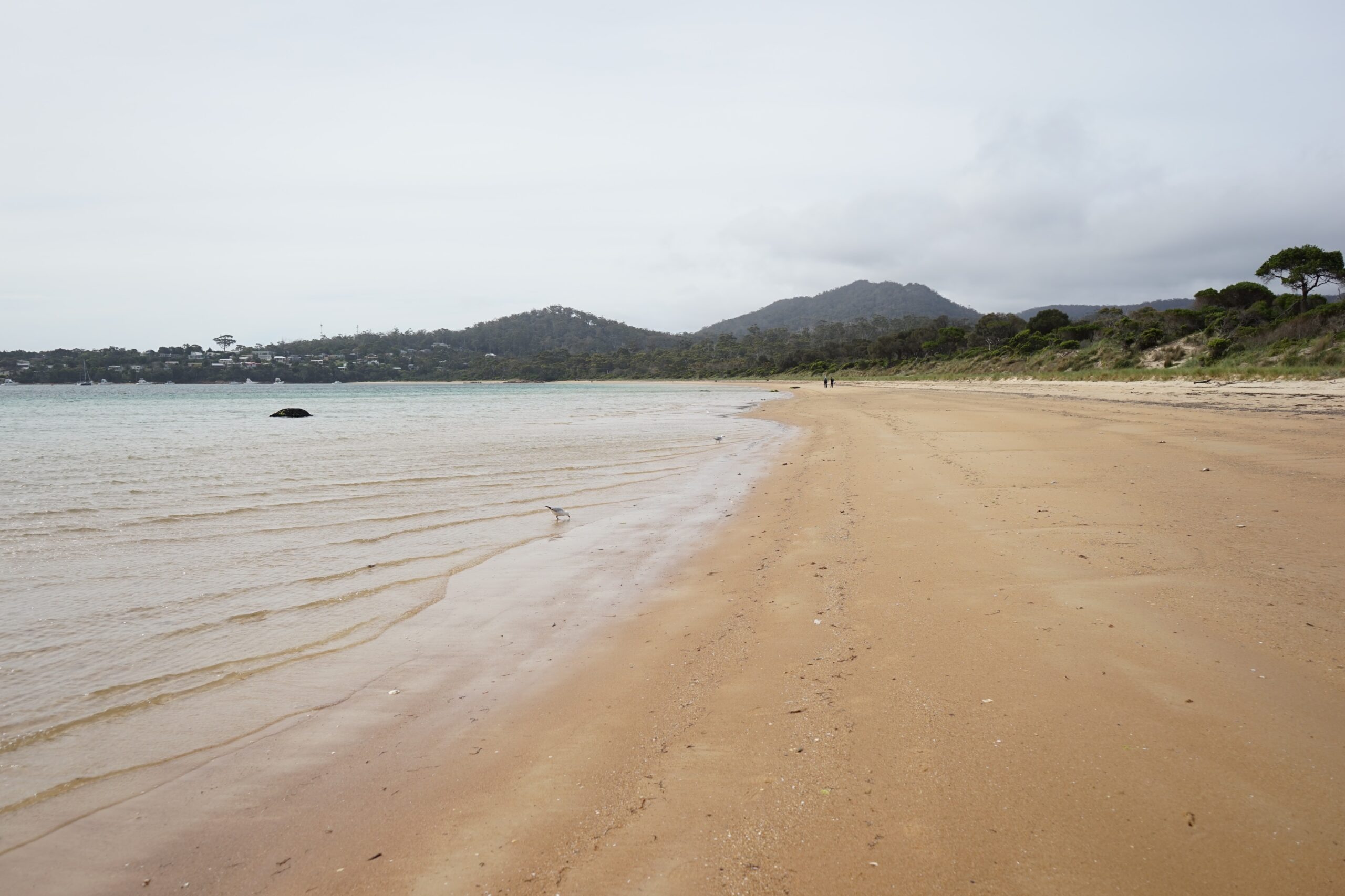 Richardson Beach Tasmania
