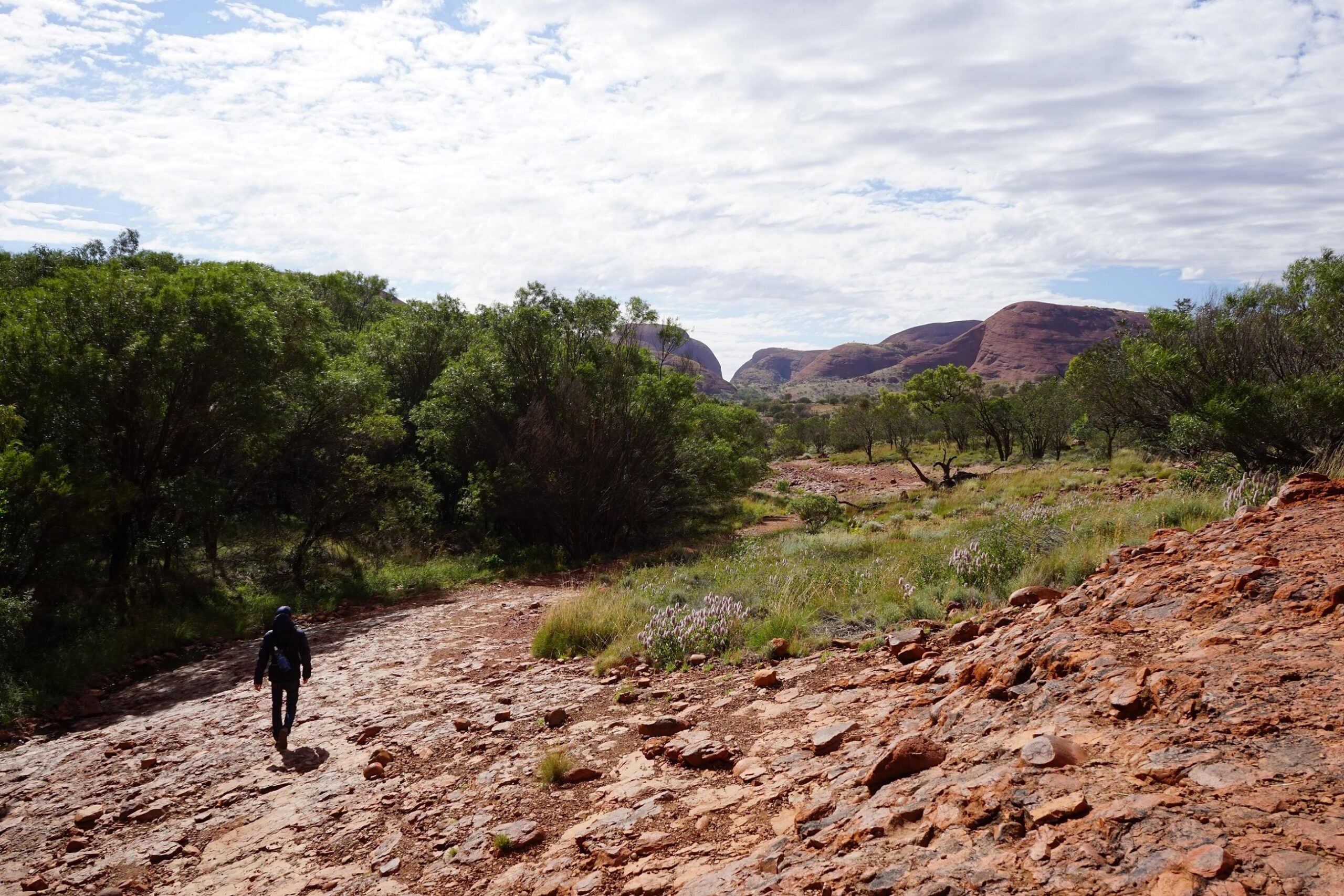 Valley of the Winds Kata Tjuta