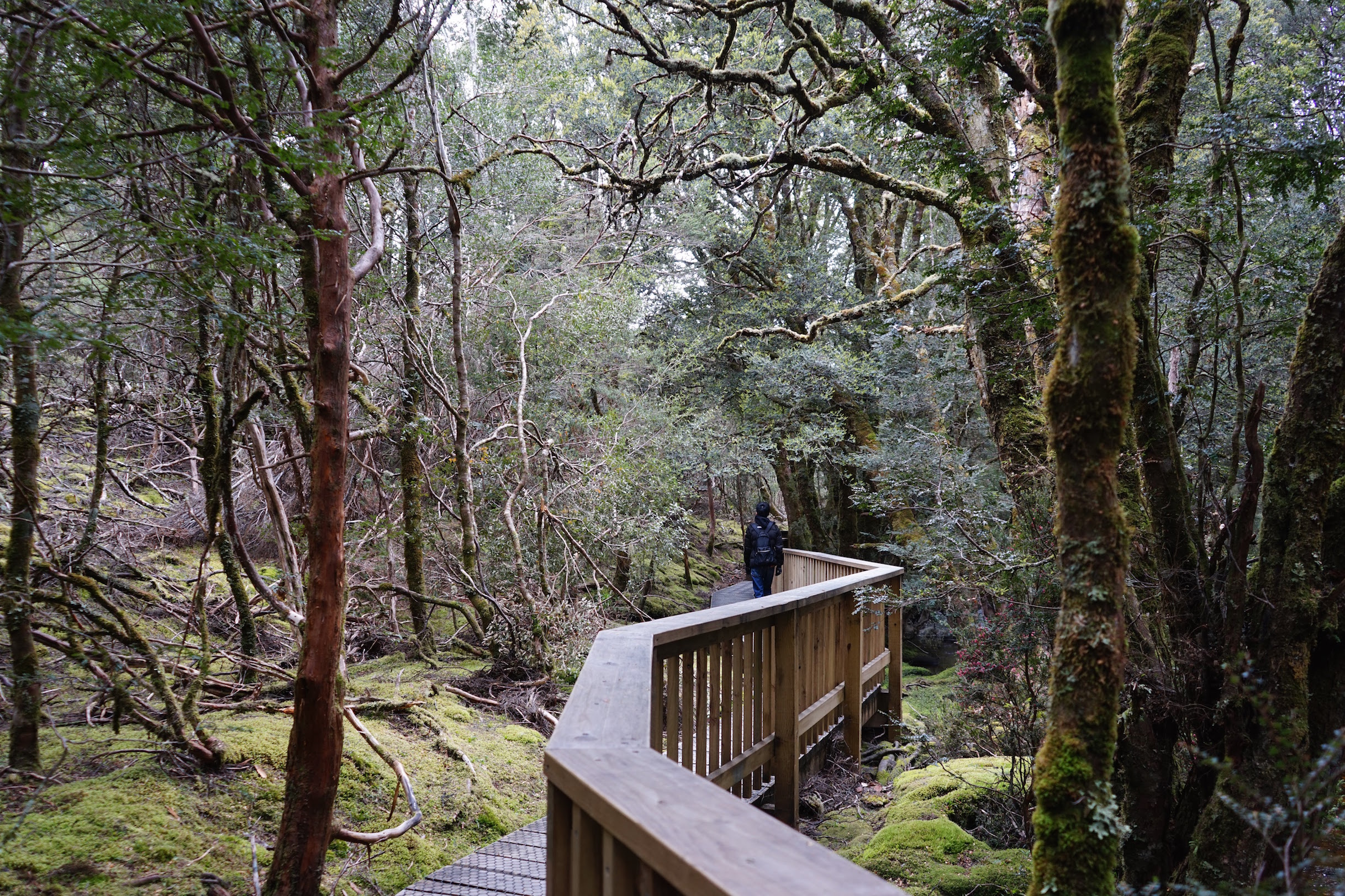 Walking trail Tasmania
