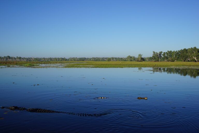 Yellow Water Cruise Australia Kakadu national Park